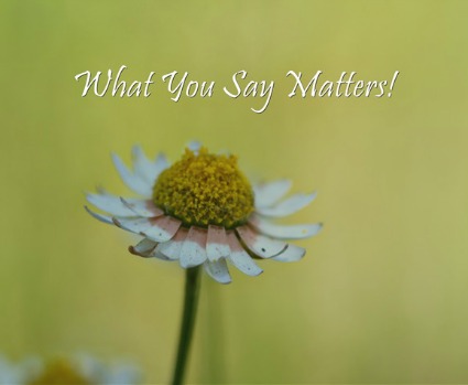 Blog Image-  What-You-Say-Matters