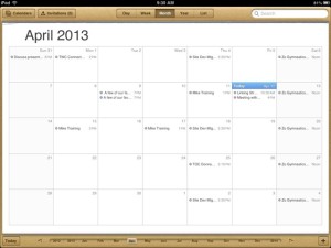 iPad-Calendar